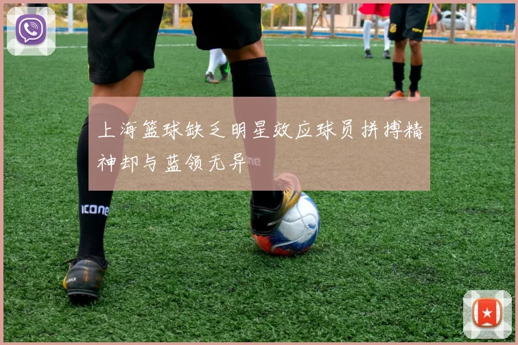 上海篮球缺乏明星效应球员拼搏精神却与蓝领无异